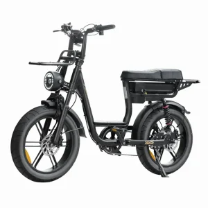 V20 Comfort - Zwart - Actieradius tot 60 km
