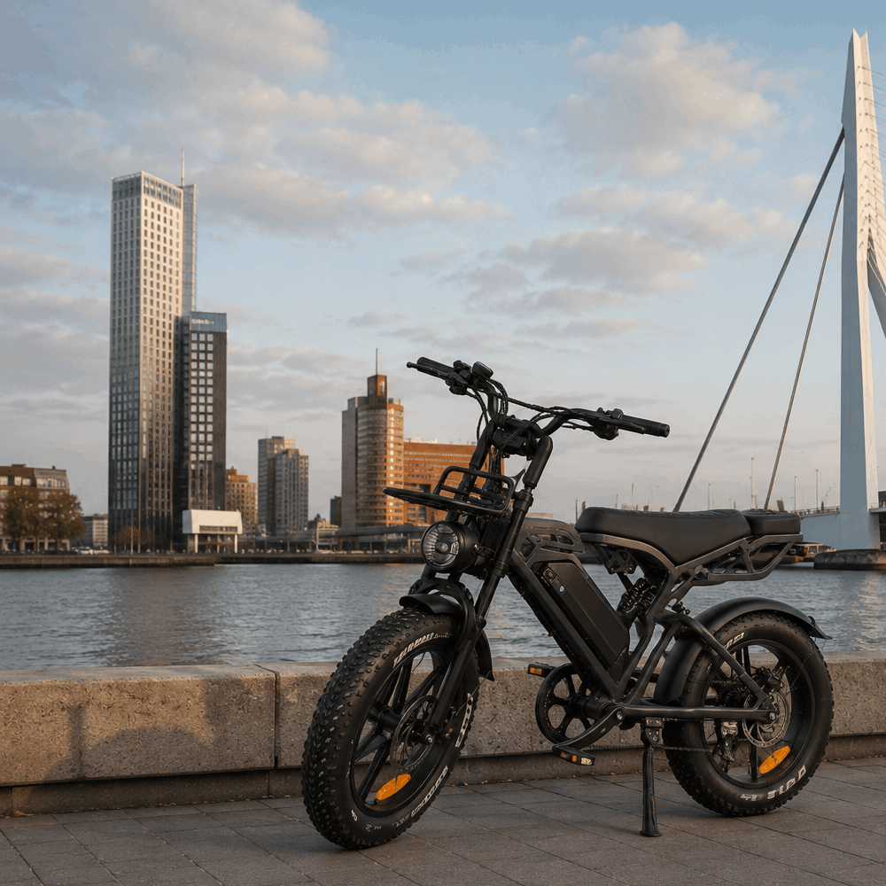 erasmus fatbike