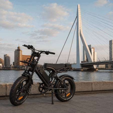 erasmus fatbike